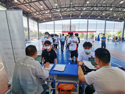 疫情影響下蔡甸職校生 從校門到廠門無縫對接，職業中介服務助力就業關