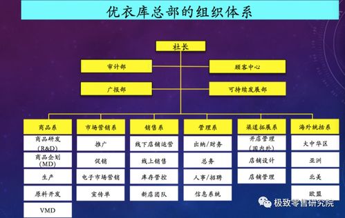 優衣庫 逆境中的市場突圍者，為何在洋品牌退潮時進入“當打之年”？