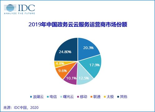 2019年中國政務(wù)云服務(wù)運(yùn)營商市場份額報(bào)告發(fā)布與市場營銷策劃服務(wù)分析